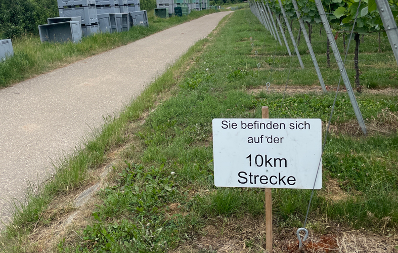 TV-Eppelheim